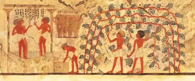 培养孩子10岁科学兴趣的书籍,科学培养孩子阅读能力