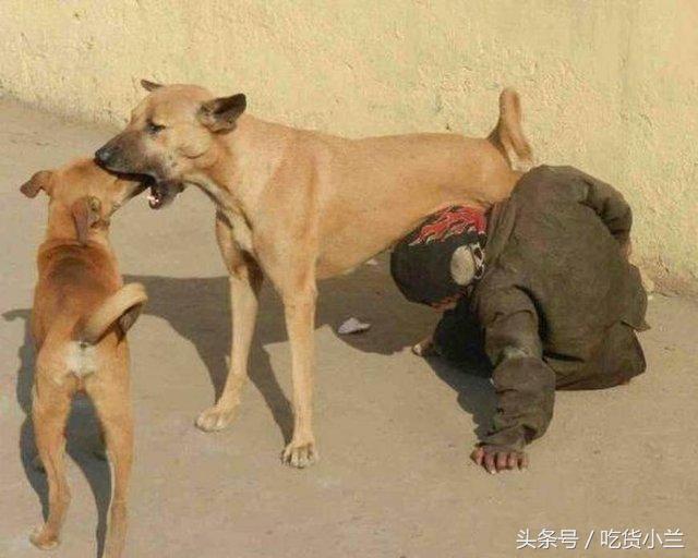 2岁宝宝喝奶粉上瘾是怎么回事,孩子对奶上瘾