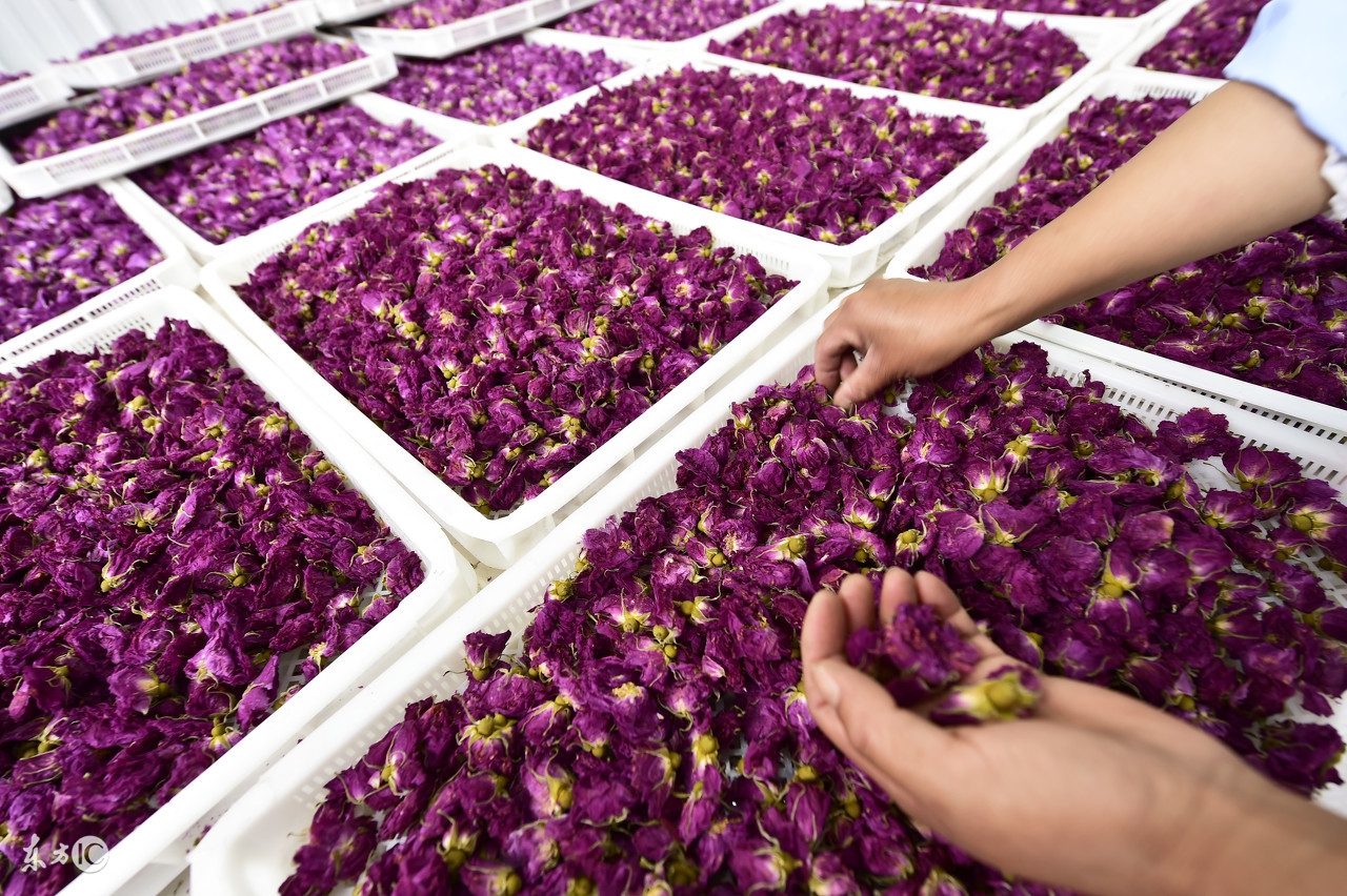 玫瑰花茶和其他茶的区别,玫瑰花茶能和什么搭配