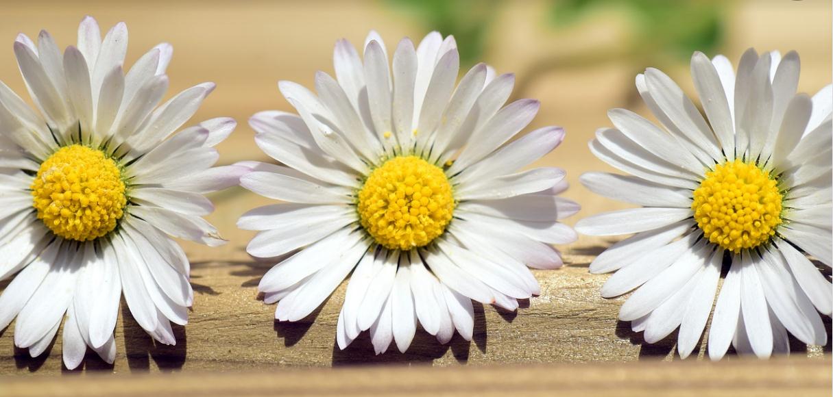 君君成长之路,君君自媒体创业之路