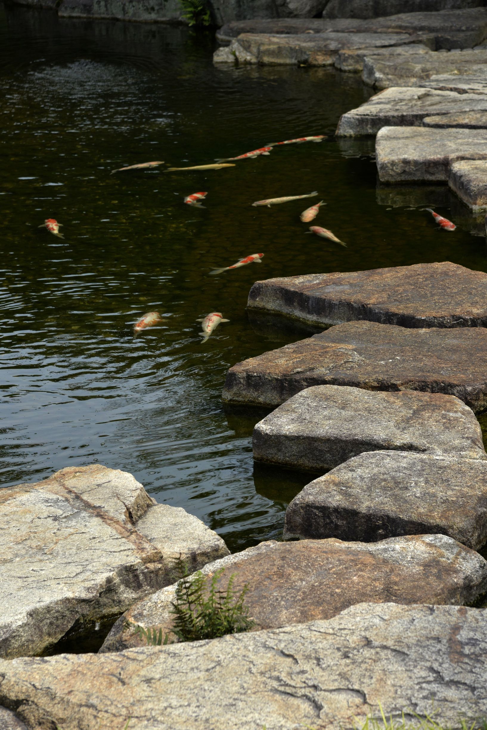 名古屋有意思吗,名古屋是不是日本的古都