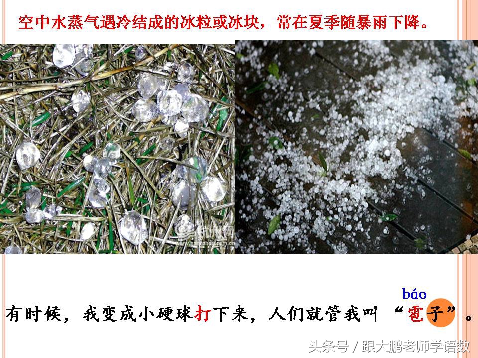 部编版二年级语文下册第一课课文,部编版二年级语文上册第二课视频