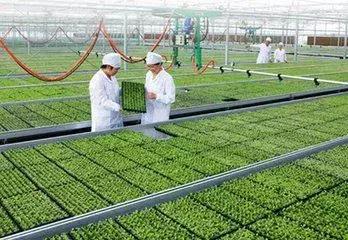 怎么学好农村电商这门课程,农村电商运营自学教程