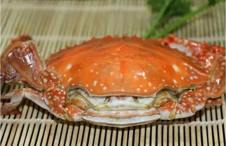 死螃蟹不能吃为什么冷冻的可以吃,冻螃蟹和死螃蟹能吃吗