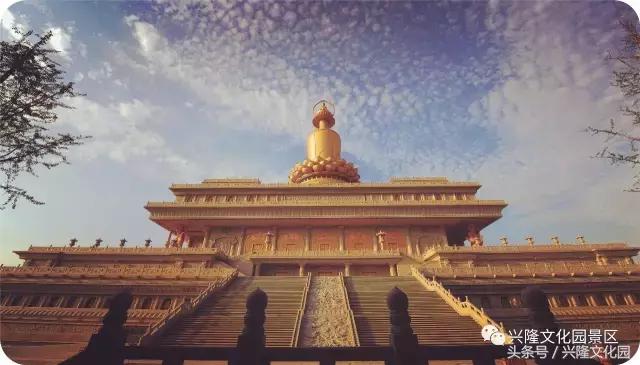 我找到了我找不到了,我找到了我的白月光什么意思