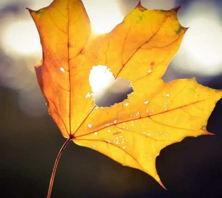 年少无知误入传销，一个单纯男孩儿的情殇梦魇！