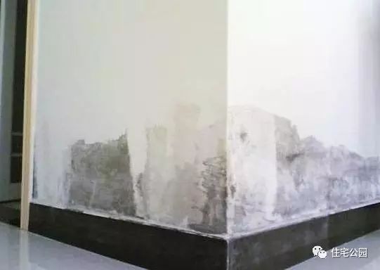 乳胶漆墙面返碱起皮怎样修补,为什么我住的房子很容易发霉