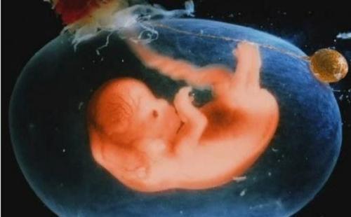 怀孕第11周孕妇症状,怀孕初期吸入甲醛孕妇什么症状