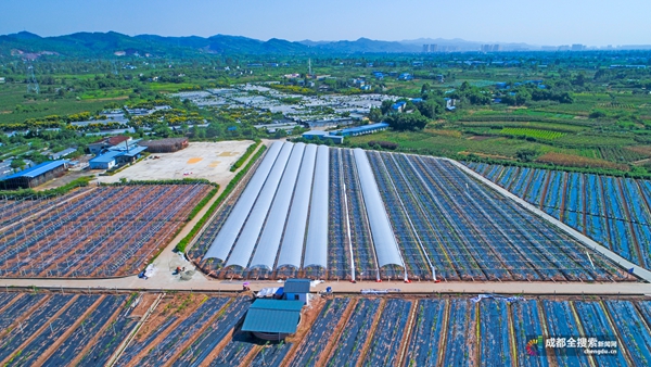 漫香庄园图片,龙泉驿区漫香庄园规划