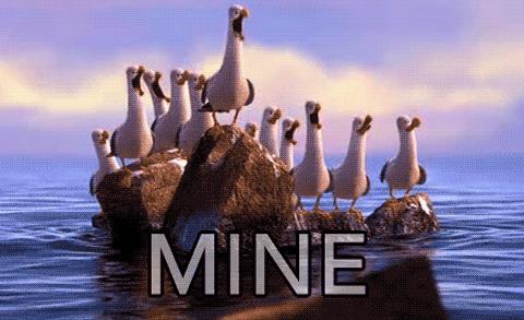 澳洲和新西兰近况,澳洲与新西兰现状