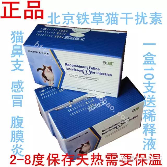 猫咪可以用的人类药品种类,猫咪应激反应常用药