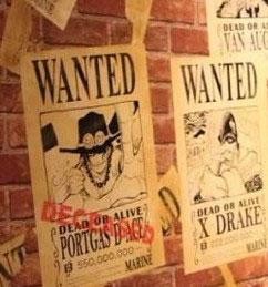 海贼王最吸引的片段,海贼王最吸引你的是什么