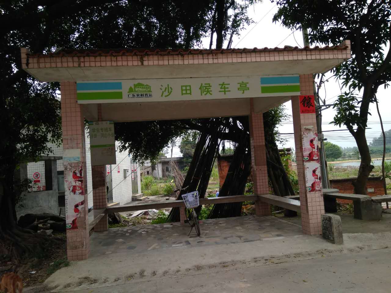 沙田村旅游攻略,广东东莞乡村休闲体验季