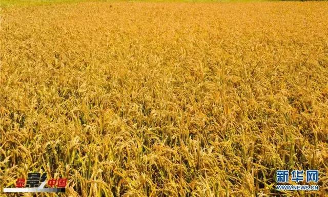 春分和秋分节气,春分和秋分节气的特点