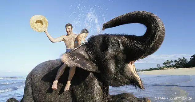 南亚岛国斯里兰卡人的“不老回春术”是什么?