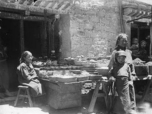 他是潜入*藏西**的日本间谍,还是日本藏学的开天祖师?