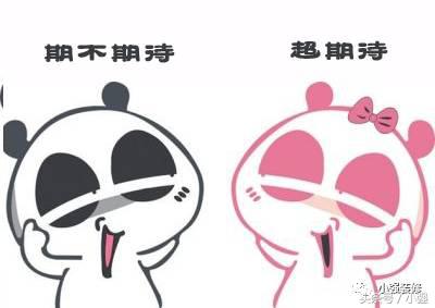 想知道工地盖的是什么,在哪里可以知道工地项目