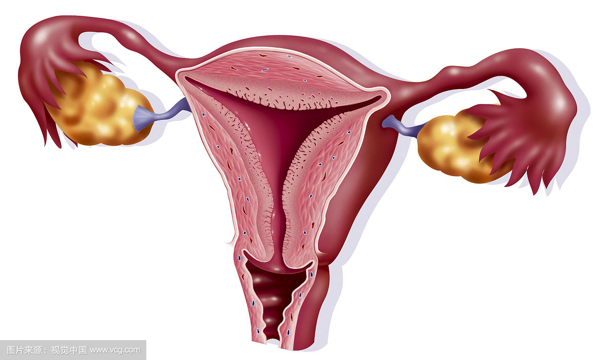 妇科炎症有哪些症状会引起腰疼,妇科炎症有哪些症状用什么药物