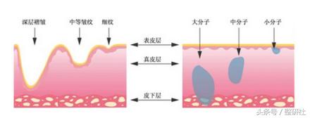 医美联合治疗拒绝“阿婆”面相