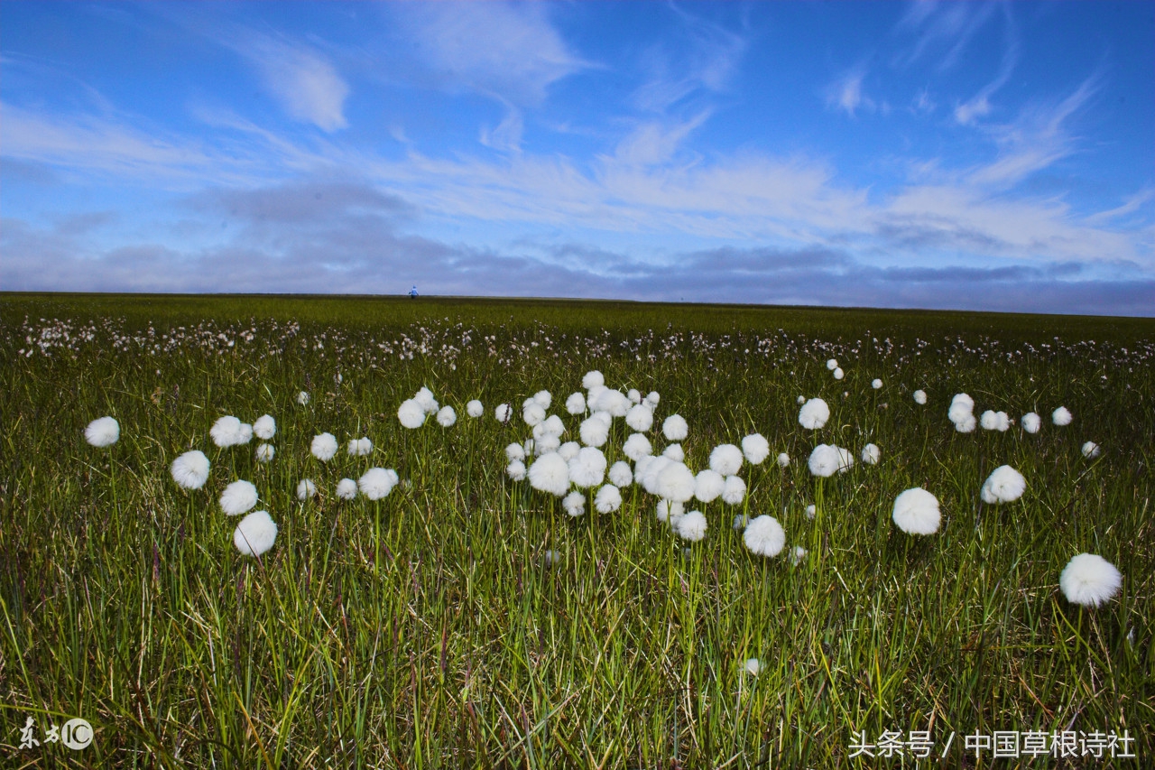 柳永词小说,柳永词原唱歌曲