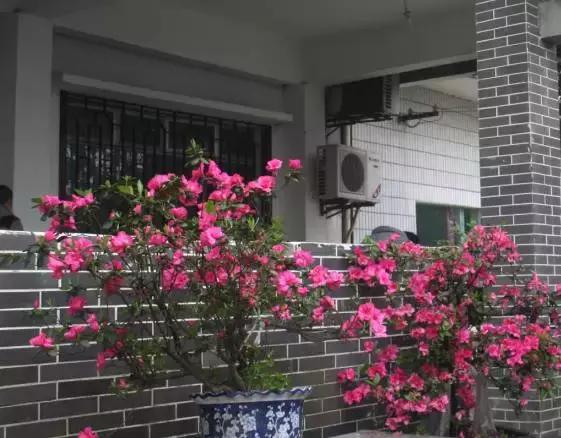 精选南岸嘿巴适农家乐，这个国庆有得耍，让你嗨到不想回家！