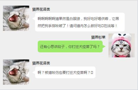 被猫咬伤要打狂犬疫苗吗,自家宠物猫抓伤需要打狂犬疫苗吗