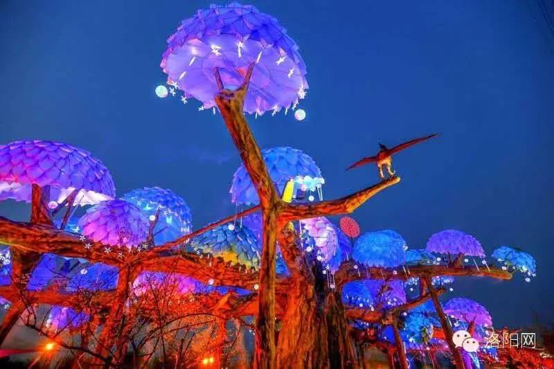 洛阳2024新春超级灯会在哪里,洛阳最大公园灯会