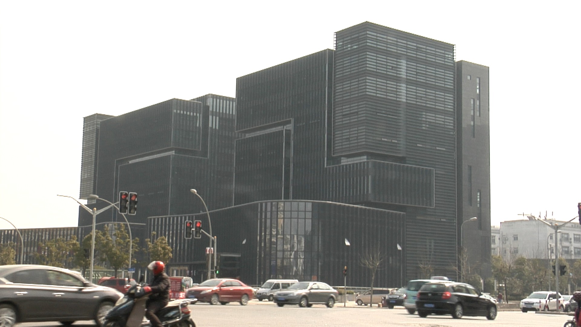 海螺化石鉴定价值,海螺化石鉴宝视频