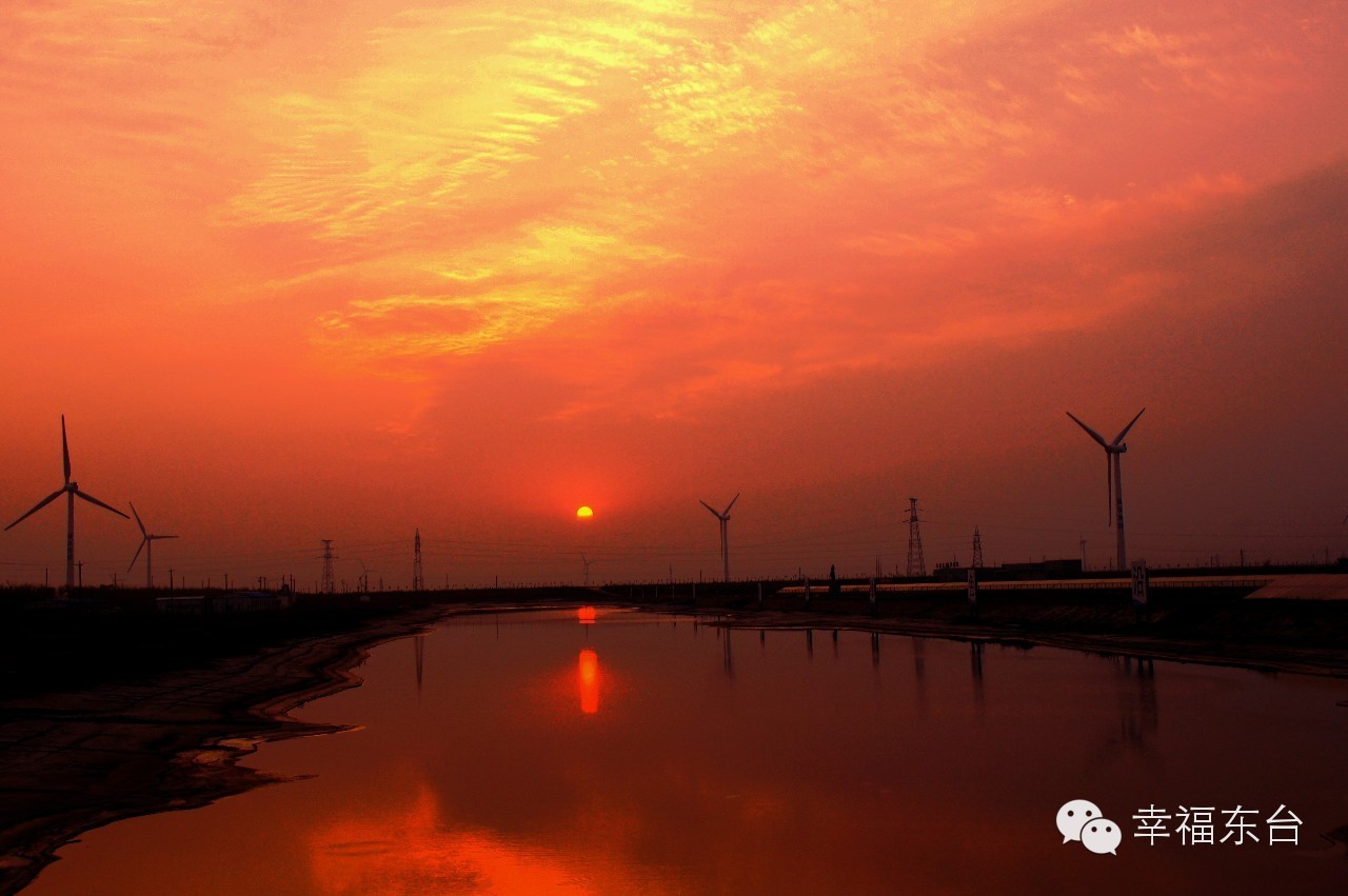 让我醉倒在泉边歌词,让我醉倒在池边歌词