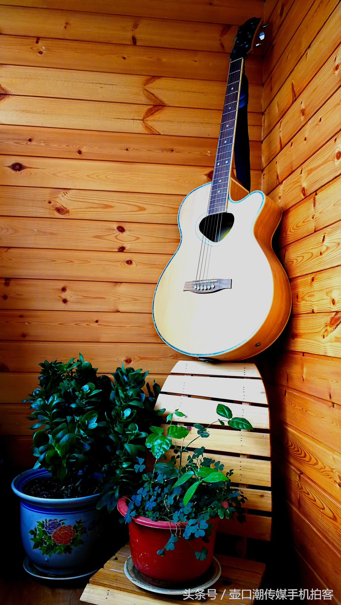 临汾:手机拍拍工作室的花~再好的装修也比不了和大自然和谐相处