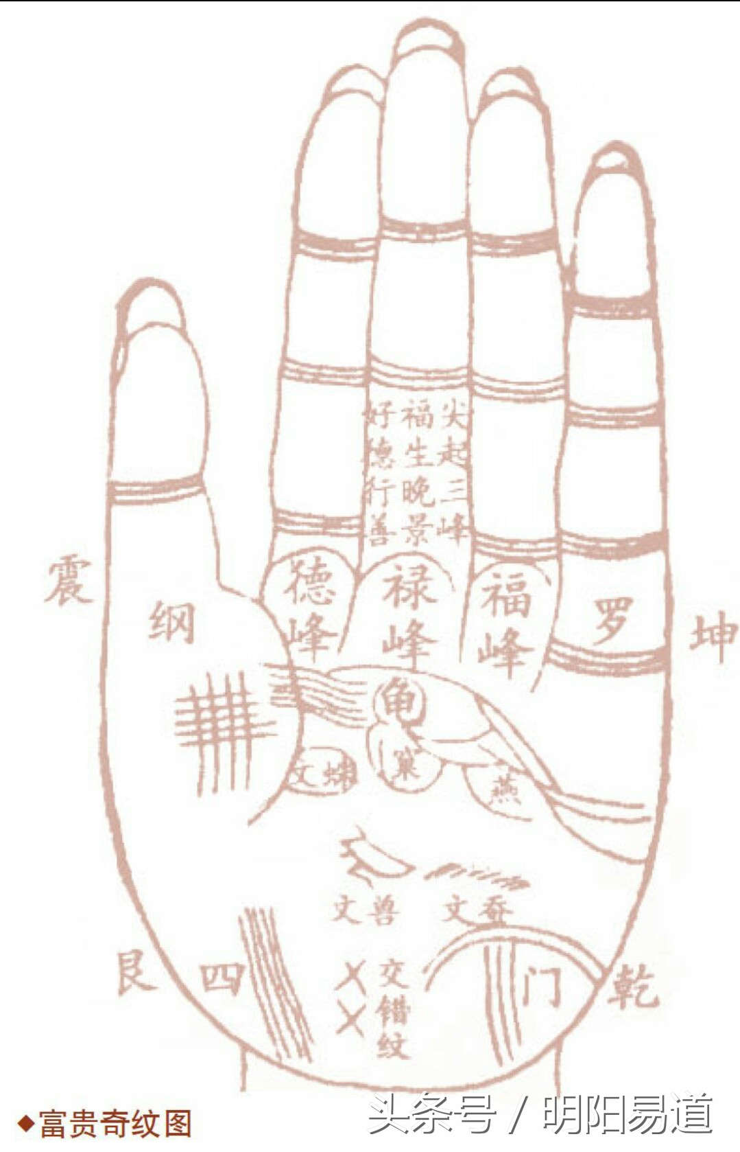 各种手相事业运势图表图片,手相图表示运气
