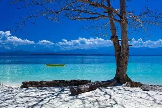 巴拉望岛好玩吗,巴拉望岛最大的岛屿