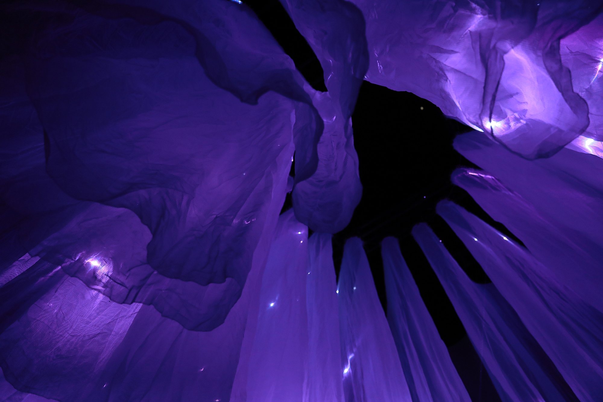 德国老程序员拿块“蚊帐布”,用代码创造最美的“云纱”艺术