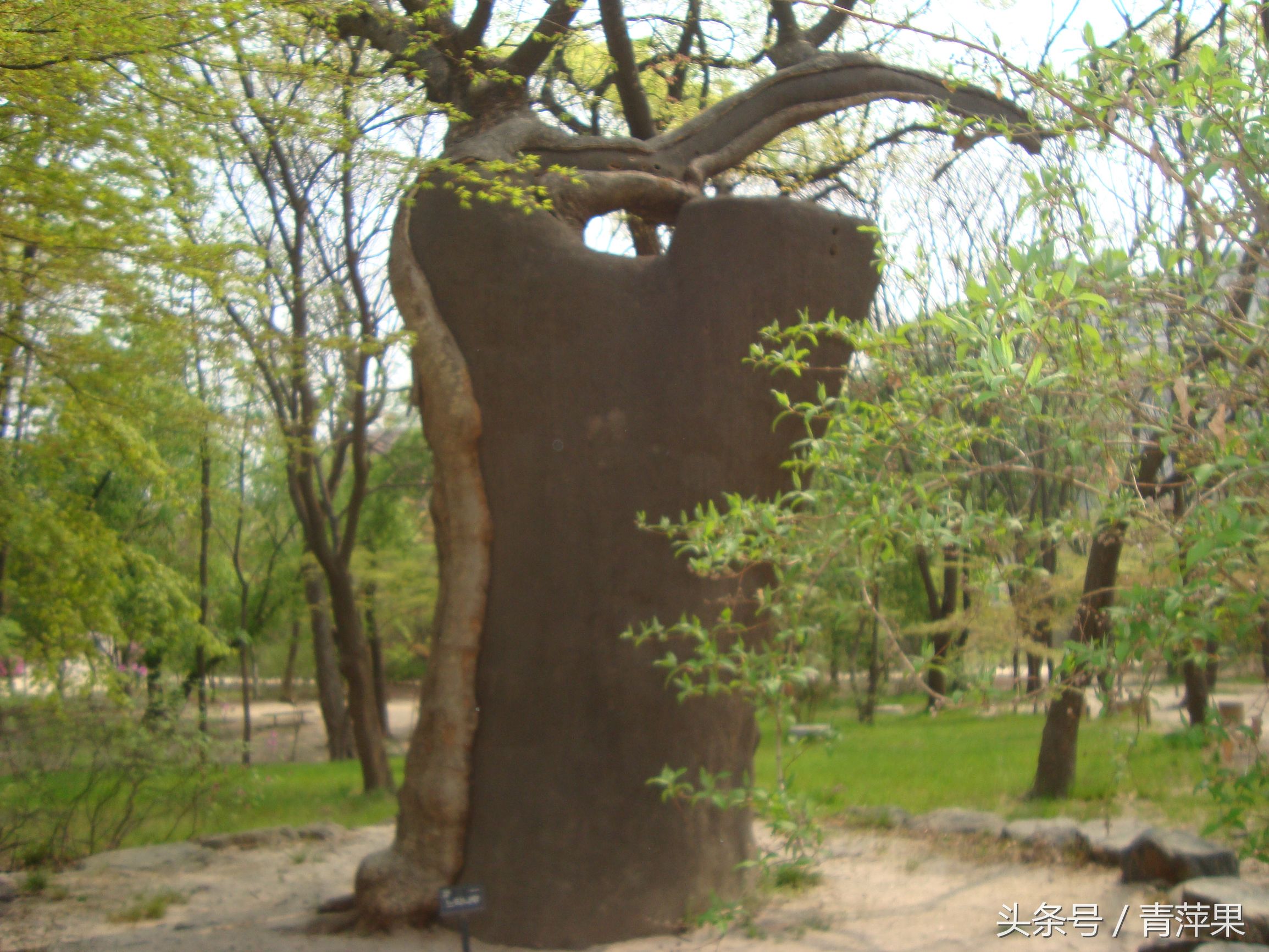 十一国庆韩国旅游,十一国庆还有人去韩国旅游吗