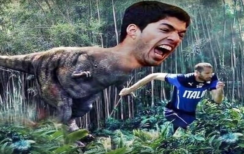 不信你不笑搞笑片段,不信你不笑的搞笑瞬间