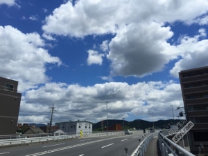 碉堡｜日本关西深度游最详细攻略！体验全日本最美的小渔村，吃嗨