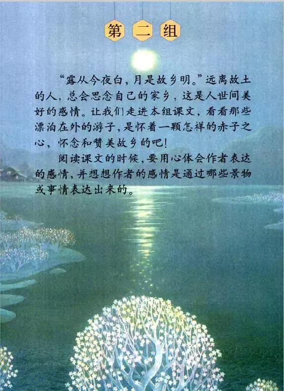 五年级上册语文第二课笔记媛媛妈,媛媛妈语文五年级下册10课课件