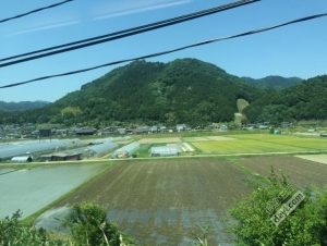 日本小众深度游玩攻略,日本关西打卡攻略