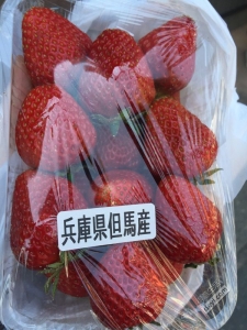 碉堡｜日本关西深度游最详细攻略！体验全日本最美的小渔村，吃嗨