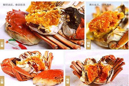 您买的阳澄湖大闸蟹是真的吗,市场上能买到真的阳澄湖大闸蟹吗