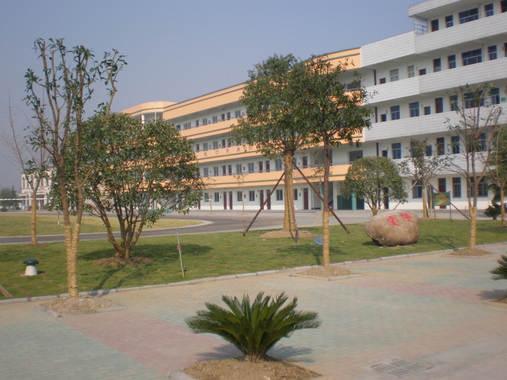 海宁有什么好的学校,嘉兴海宁有什么学校