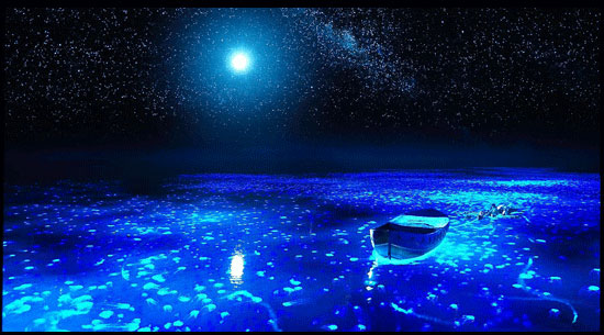 索尼a1与7c比较,索尼a1对比评测