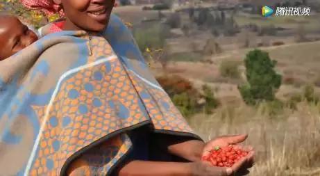 肌肤较干秋冬精华,秋冬不粘腻的精华水