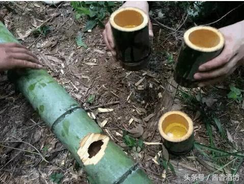竹筒酒怎么辨别真假,酒鉴别真假的方法