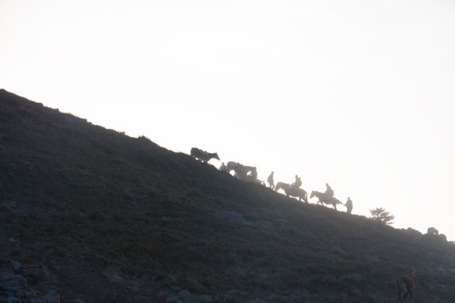 希望以后有时间可以一起去露营,我们还有机会一起去爬山吗