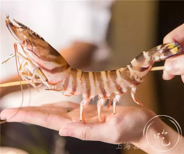 港式打边炉推荐,要火的奶茶店