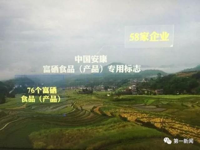 追赶超越看今朝，厉害了！我的“安康绿”！