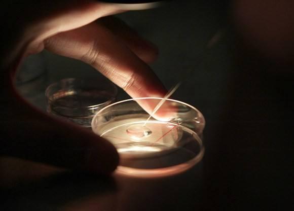 备战试管婴儿，听听生殖科资深护长怎么说