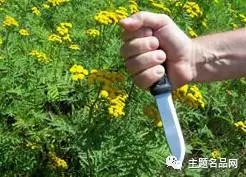 世界上操一把也不会少一把的瑞典国刀在这里-莫拉Garberg测评