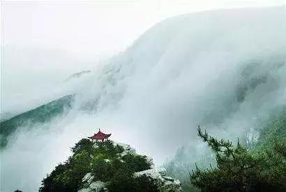 庐山云雾茶内容概述,庐山云雾茶的特点有哪些